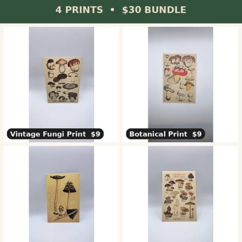 Mushroom Botanical Print Set of 4 - Vintage Mycology Fungi Wall Art, Cottagecore